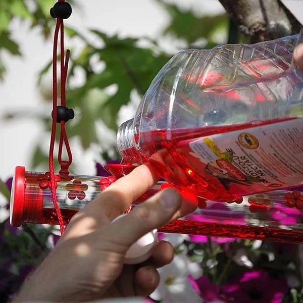 Sherum Flower Bar Hummingbird Feeder