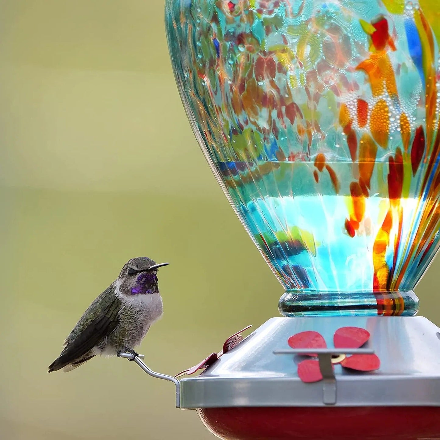 Sherum Hand Blown Glass Hummingbird Feeder - 34 Ounces